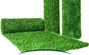 ÇİM ÇİT -2